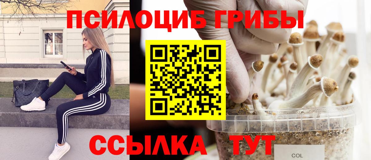 Псилоцибиновые грибы Psilocybine cubensis  Галлюциногенные грибы мухоморы  Вход с VPN  Пятигорск 